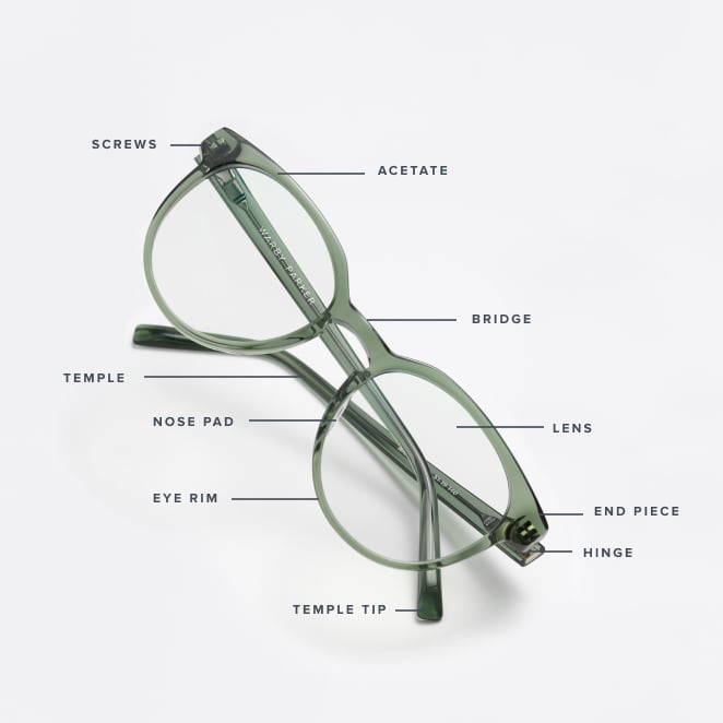 Parts of Glasses: A Glasses Anatomy Guide