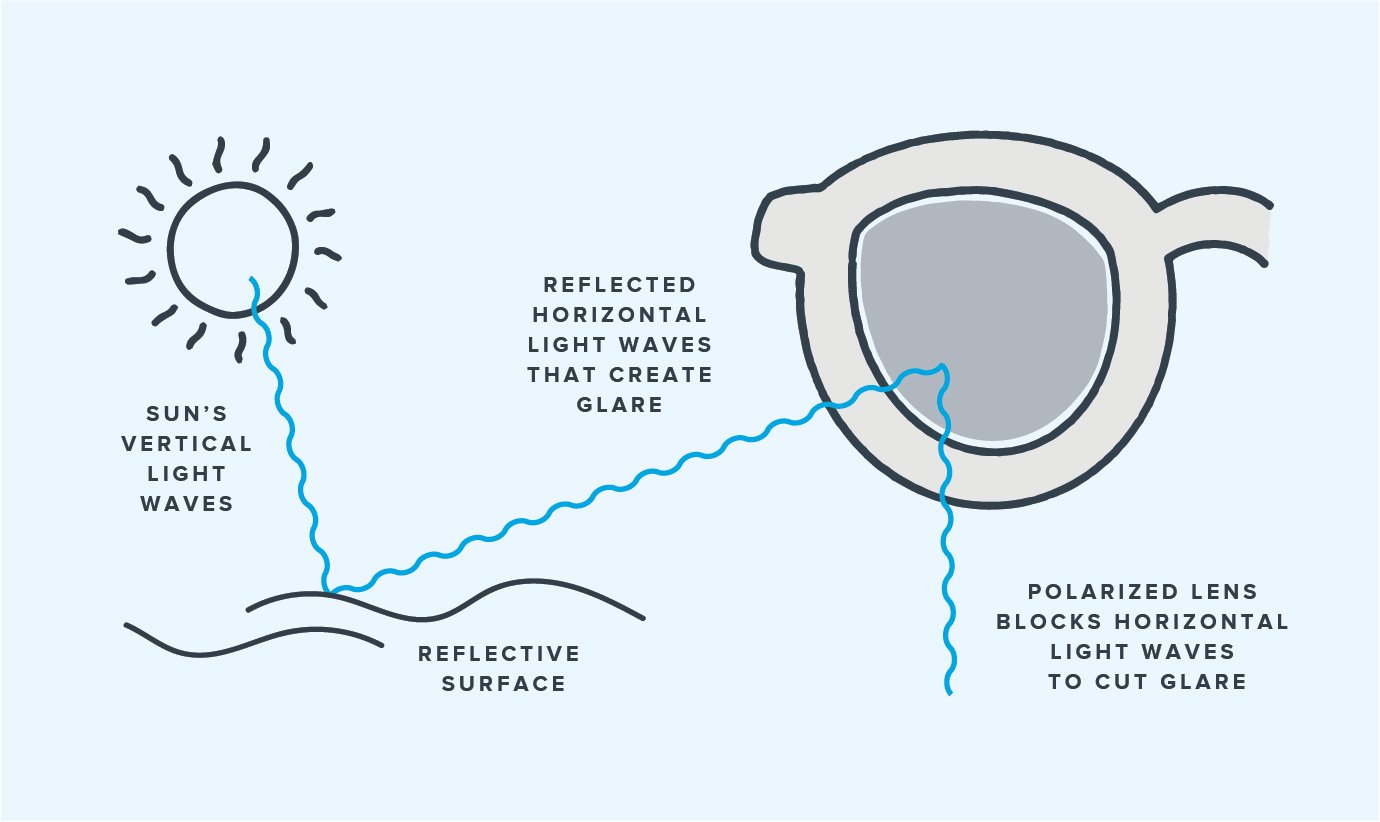 How do Polarized Lenses Work?