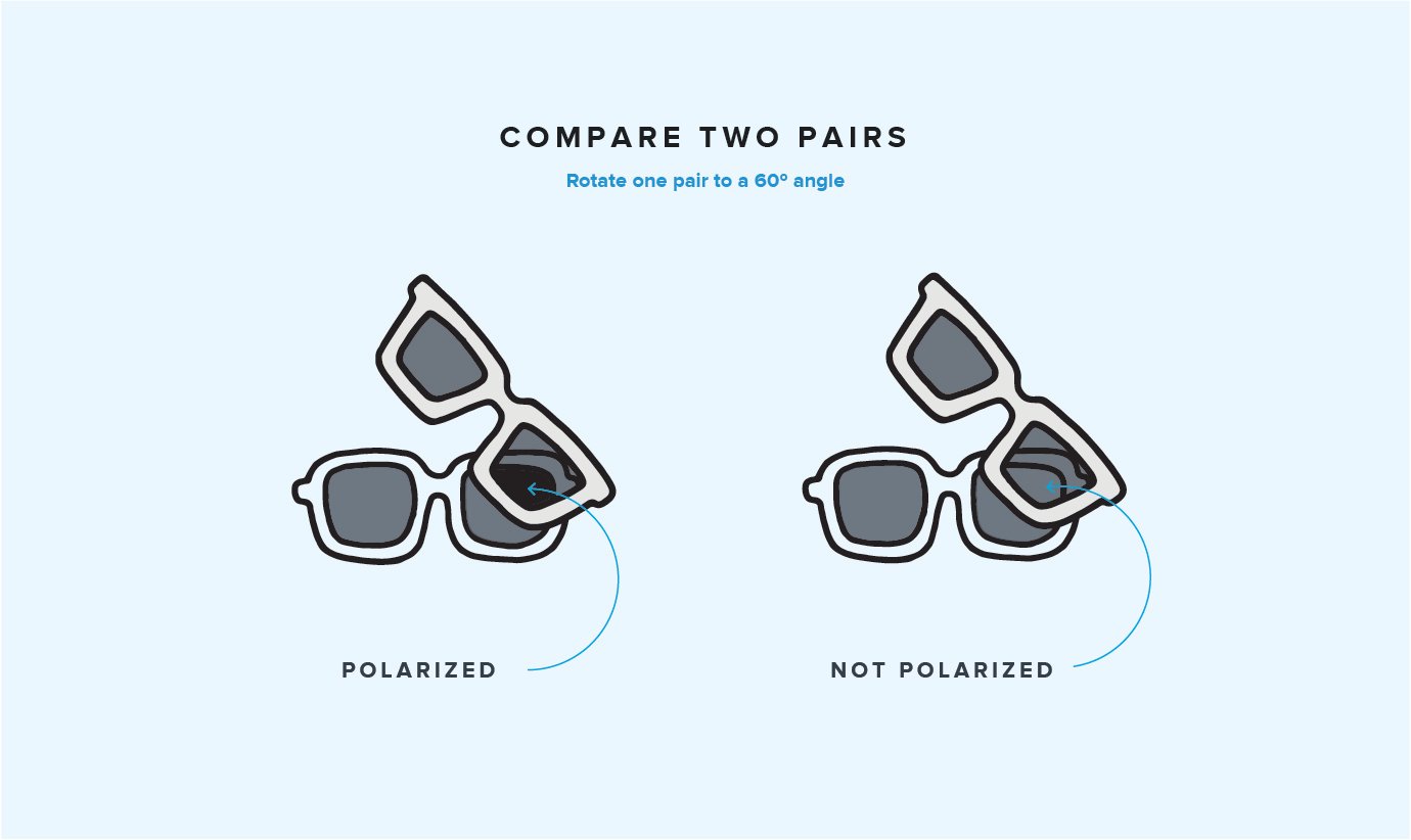 Polarized vs Non-Polarized Sunglasses - Learn the True Difference