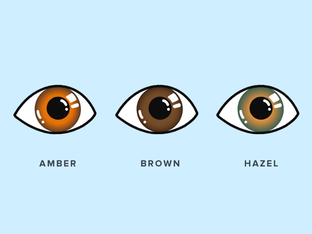 different brown eye color shades